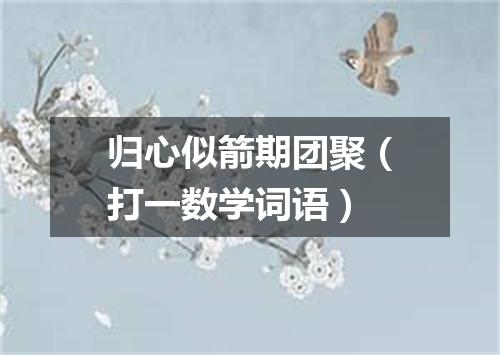 归心似箭期团聚（打一数学词语）