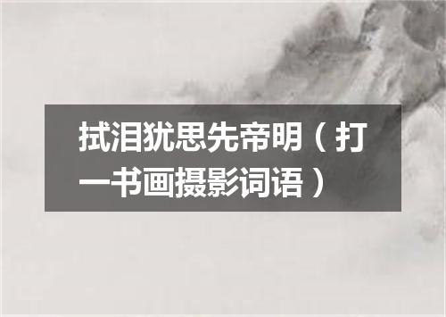 拭泪犹思先帝明（打一书画摄影词语）