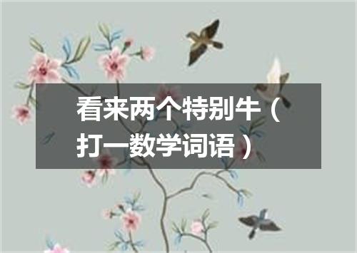 看来两个特别牛（打一数学词语）