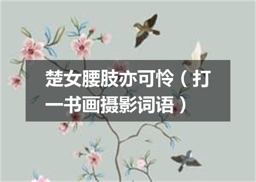 楚女腰肢亦可怜（打一书画摄影词语）