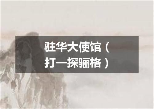 驻华大使馆（打一探骊格）
