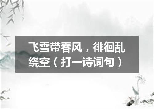 飞雪带春风，徘徊乱绕空（打一诗词句）