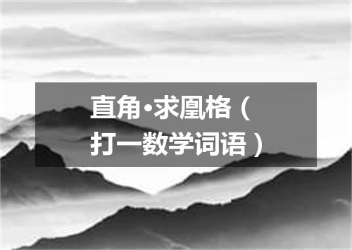 直角·求凰格（打一数学词语）