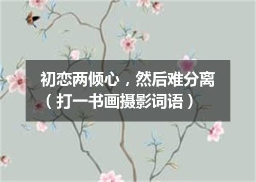 初恋两倾心，然后难分离（打一书画摄影词语）