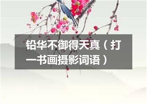 铅华不御得天真（打一书画摄影词语）