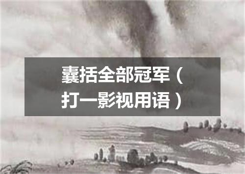 囊括全部冠军（打一影视用语）