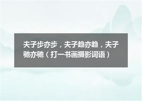 夫子步亦步，夫子趋亦趋，夫子驰亦驰（打一书画摄影词语）