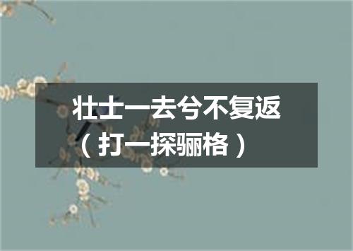 壮士一去兮不复返（打一探骊格）