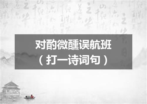 对酌微醺误航班（打一诗词句）