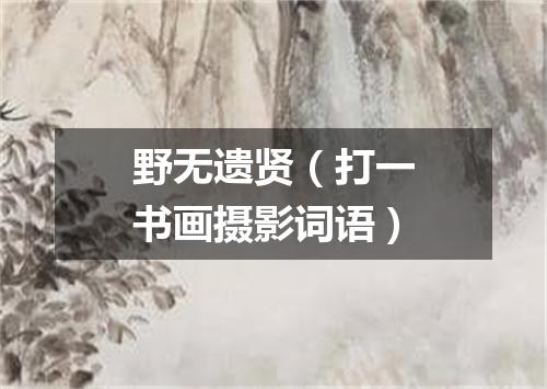 野无遗贤（打一书画摄影词语）