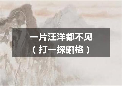 一片汪洋都不见（打一探骊格）