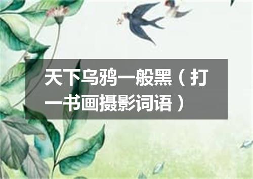 天下乌鸦一般黑（打一书画摄影词语）