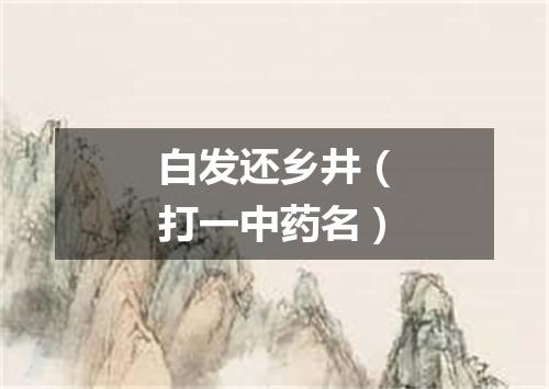 白发还乡井（打一中药名）