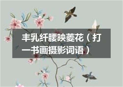 丰乳纤腰映菱花（打一书画摄影词语）