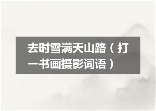 去时雪满天山路（打一书画摄影词语）