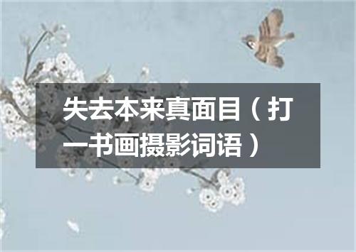 失去本来真面目（打一书画摄影词语）
