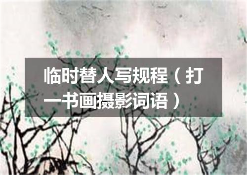 临时替人写规程（打一书画摄影词语）