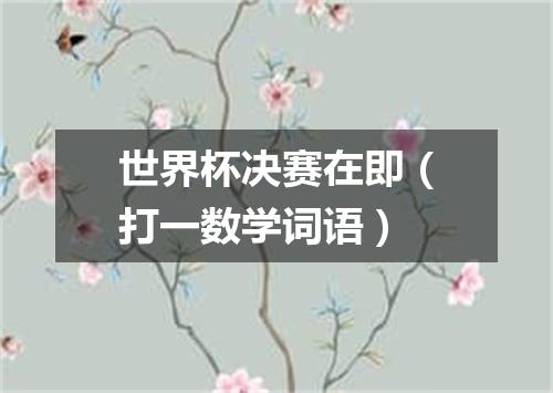 世界杯决赛在即（打一数学词语）