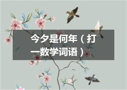 今夕是何年（打一数学词语）