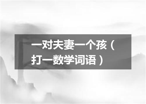 一对夫妻一个孩（打一数学词语）