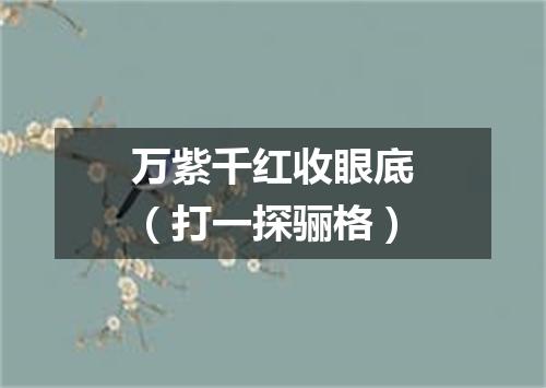 万紫千红收眼底（打一探骊格）