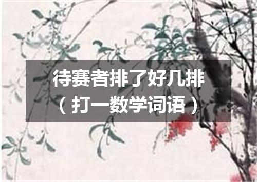 待赛者排了好几排（打一数学词语）