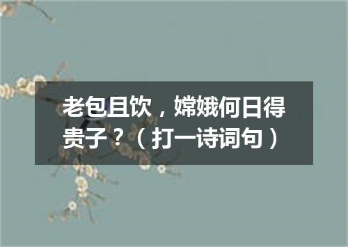 老包且饮，嫦娥何日得贵子？（打一诗词句）