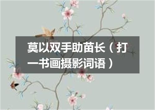 莫以双手助苗长（打一书画摄影词语）