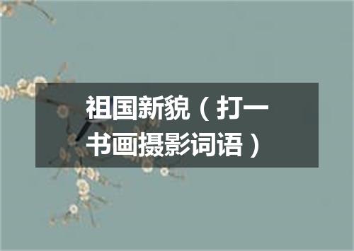 祖国新貌（打一书画摄影词语）