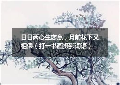 日日两心生恋意，月前花下又相偎（打一书画摄影词语）