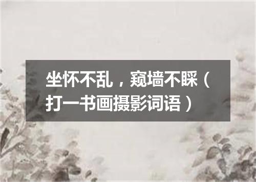 坐怀不乱，窥墙不睬（打一书画摄影词语）