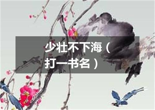 少壮不下海（打一书名）