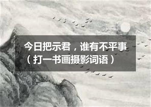 今日把示君，谁有不平事（打一书画摄影词语）