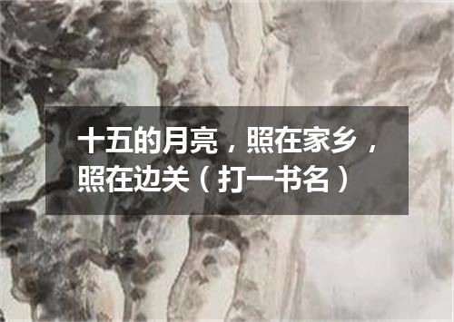 十五的月亮，照在家乡，照在边关（打一书名）