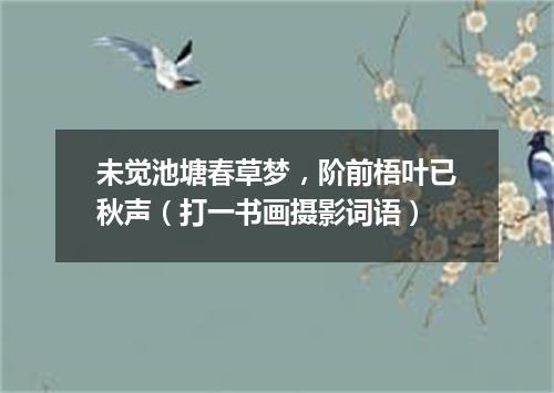 未觉池塘春草梦，阶前梧叶已秋声（打一书画摄影词语）