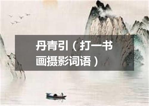 丹青引（打一书画摄影词语）