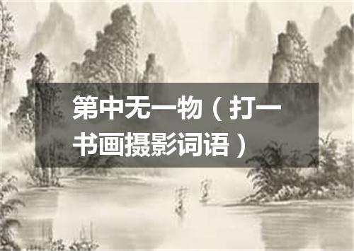第中无一物（打一书画摄影词语）