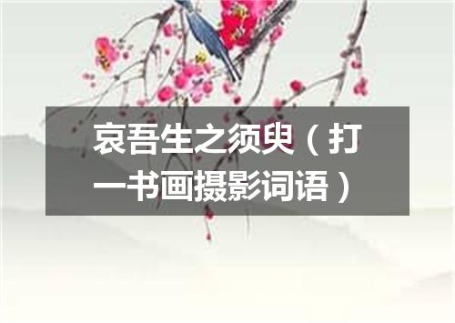 哀吾生之须臾（打一书画摄影词语）