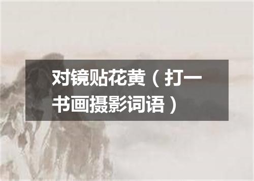 对镜贴花黄（打一书画摄影词语）