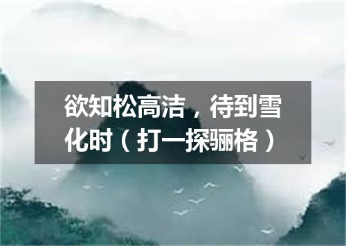 欲知松高洁，待到雪化时（打一探骊格）