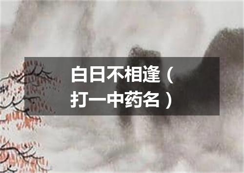白日不相逢（打一中药名）