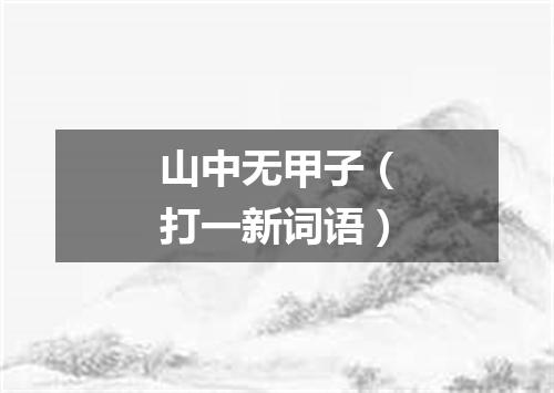 山中无甲子（打一新词语）
