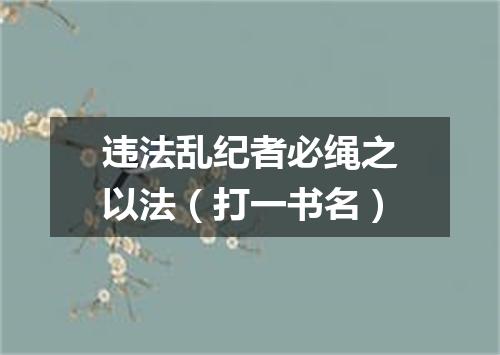 违法乱纪者必绳之以法（打一书名）