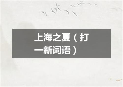 上海之夏（打一新词语）