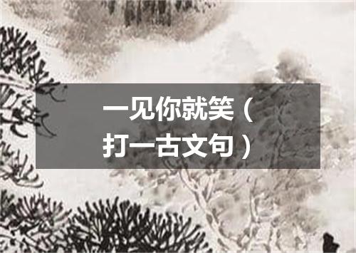 一见你就笑（打一古文句）