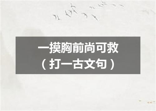 一摸胸前尚可救（打一古文句）