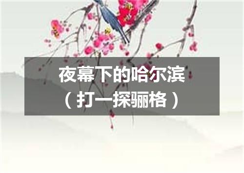 夜幕下的哈尔滨（打一探骊格）