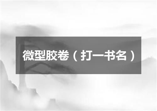 微型胶卷（打一书名）