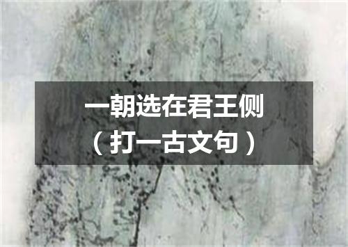 一朝选在君王侧（打一古文句）