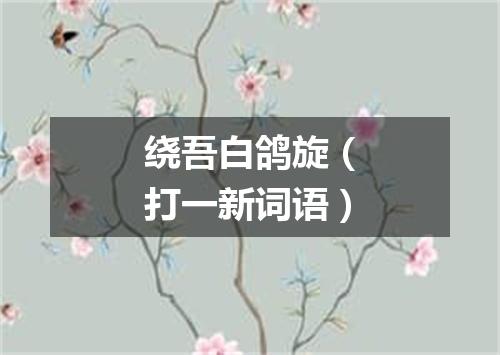 绕吾白鸽旋（打一新词语）